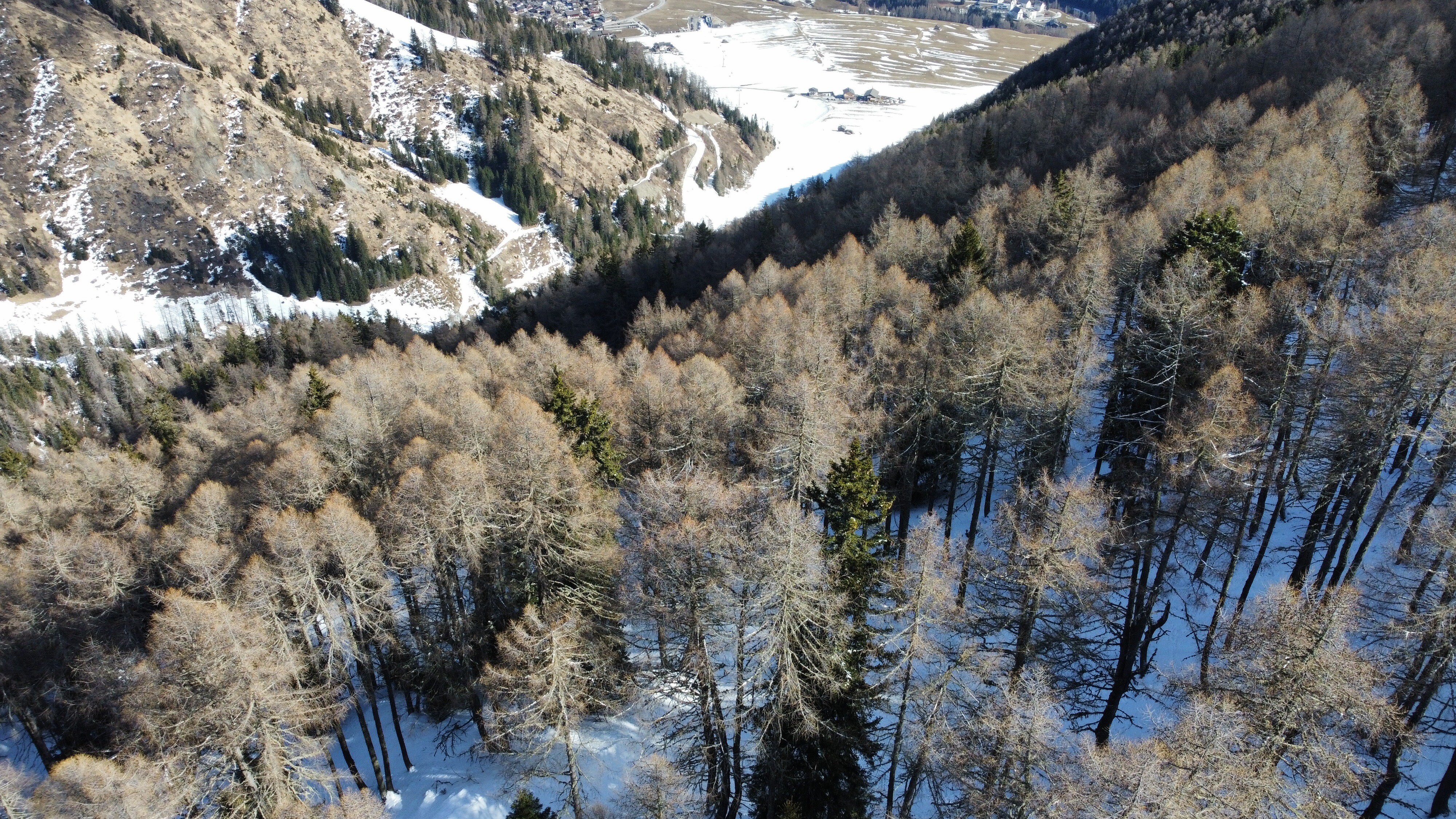 Waldparzellen Kals am Großglockner