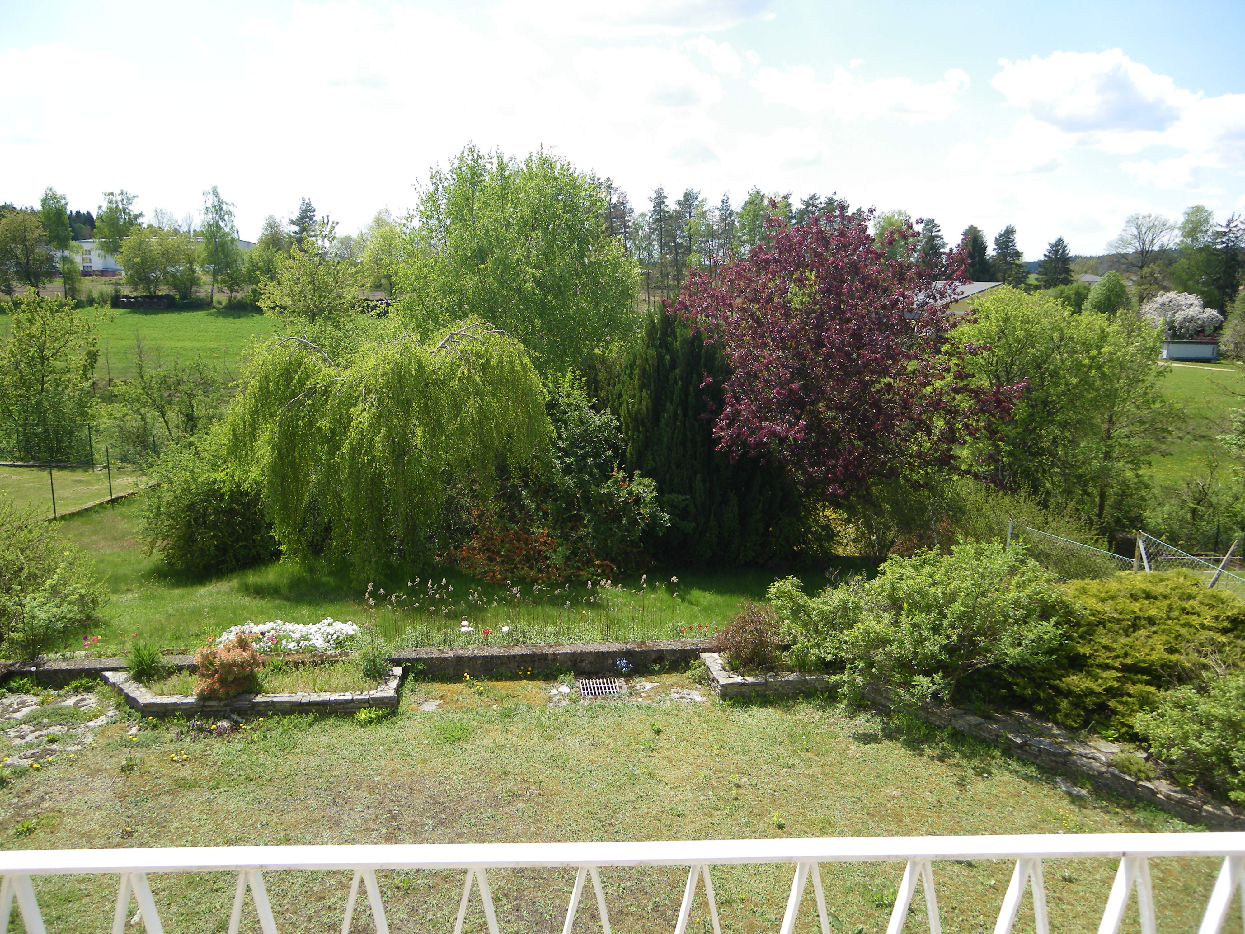 IMGP0010