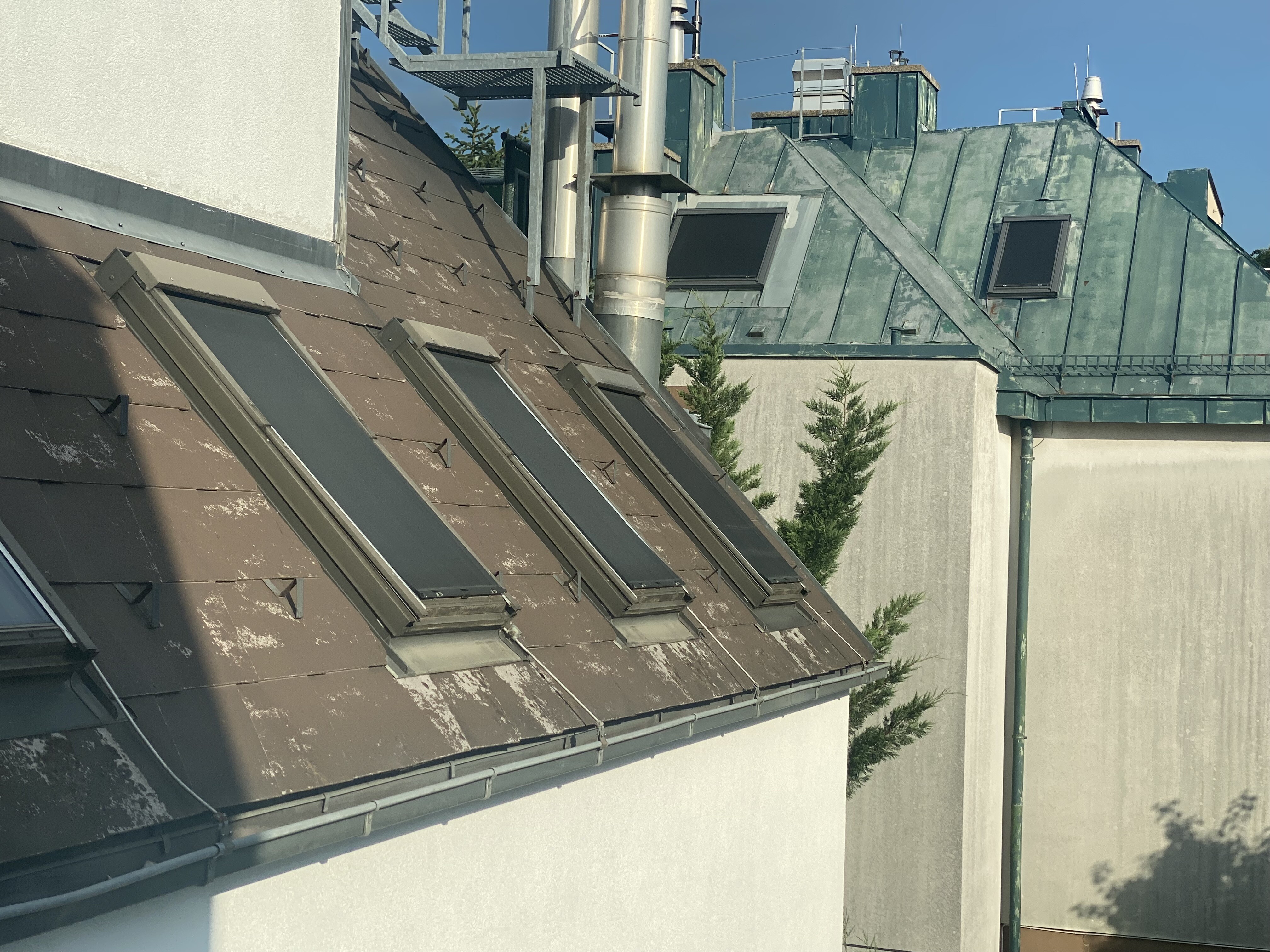 Blick auf die eigene Dachflächen