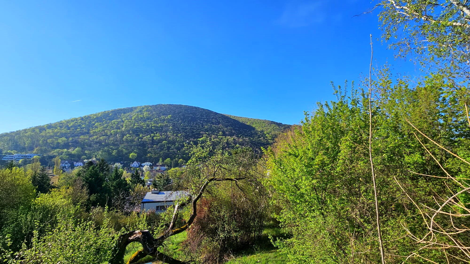Ausblick 2
