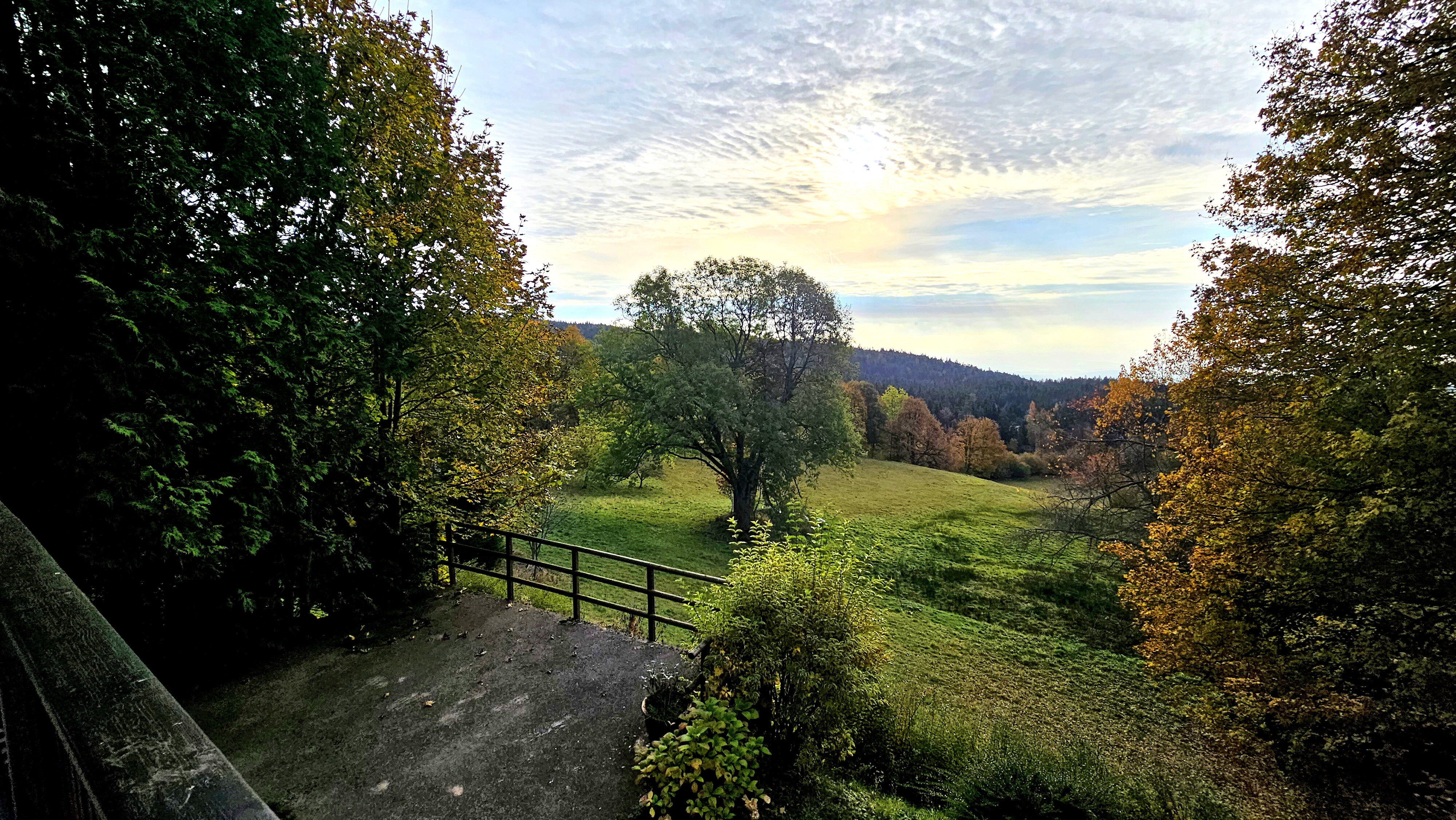 Ausblick 1