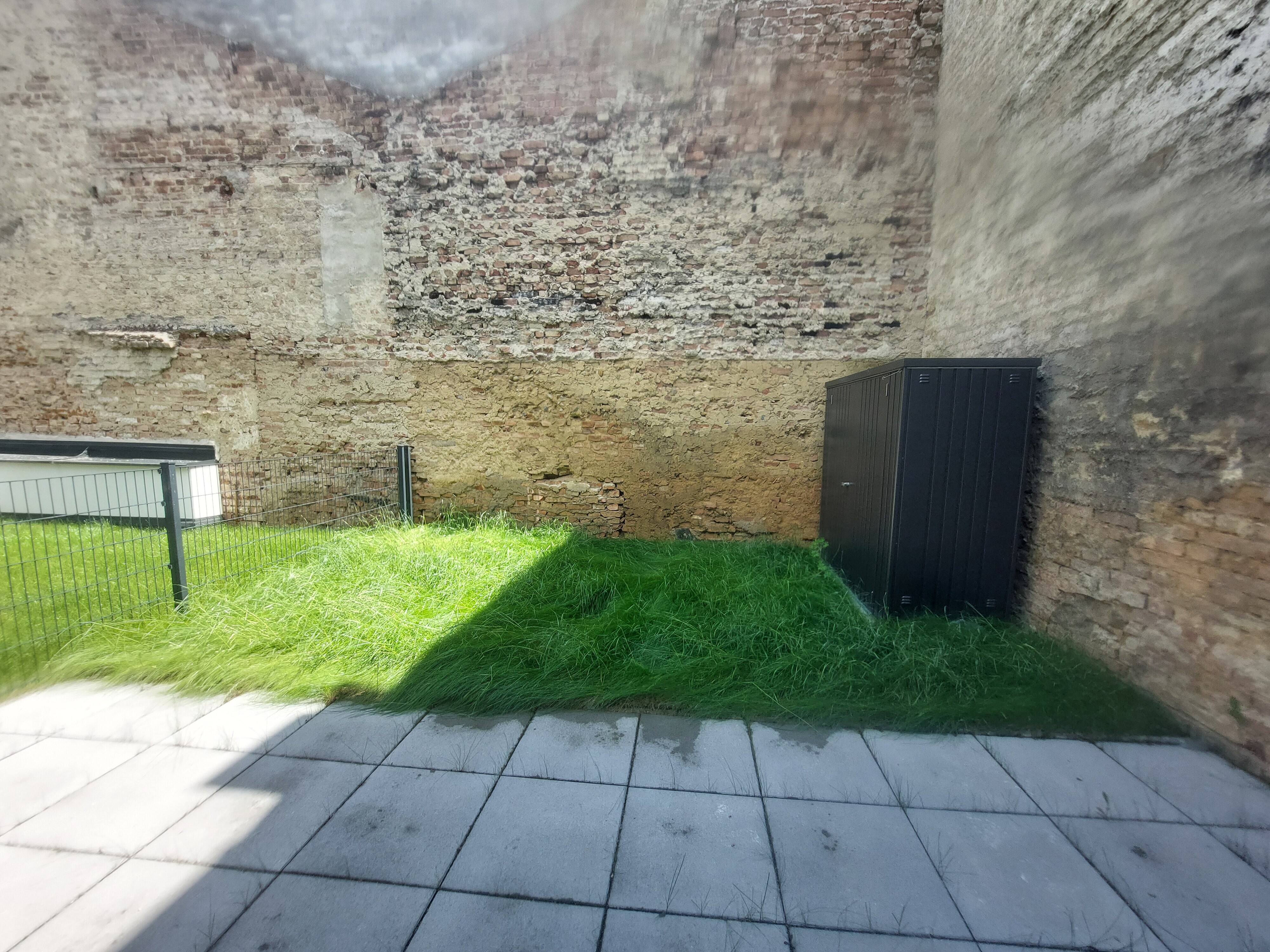 Top 2 Eigengarten