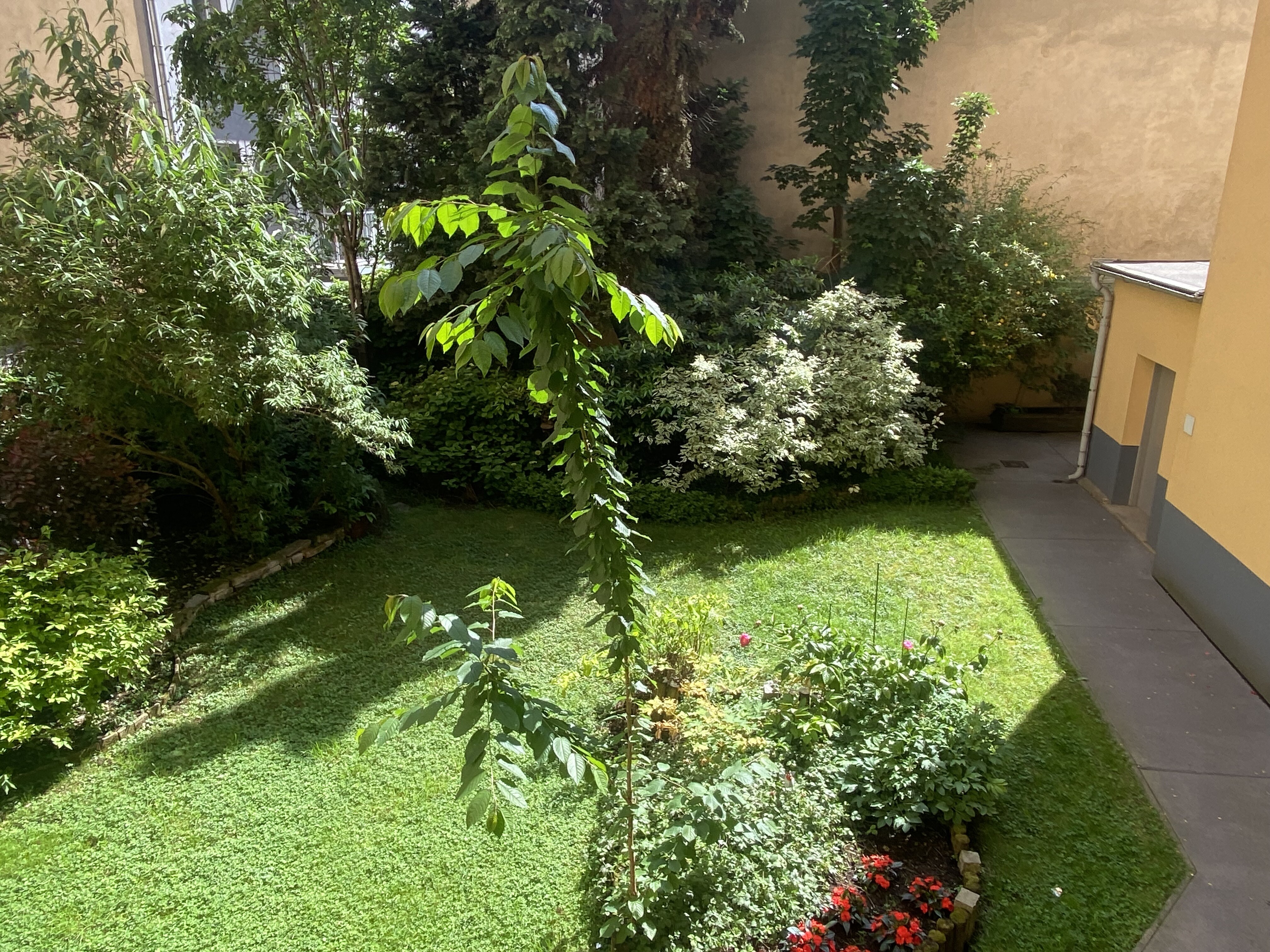 Gepflegter Gemeinschaftsgarten 