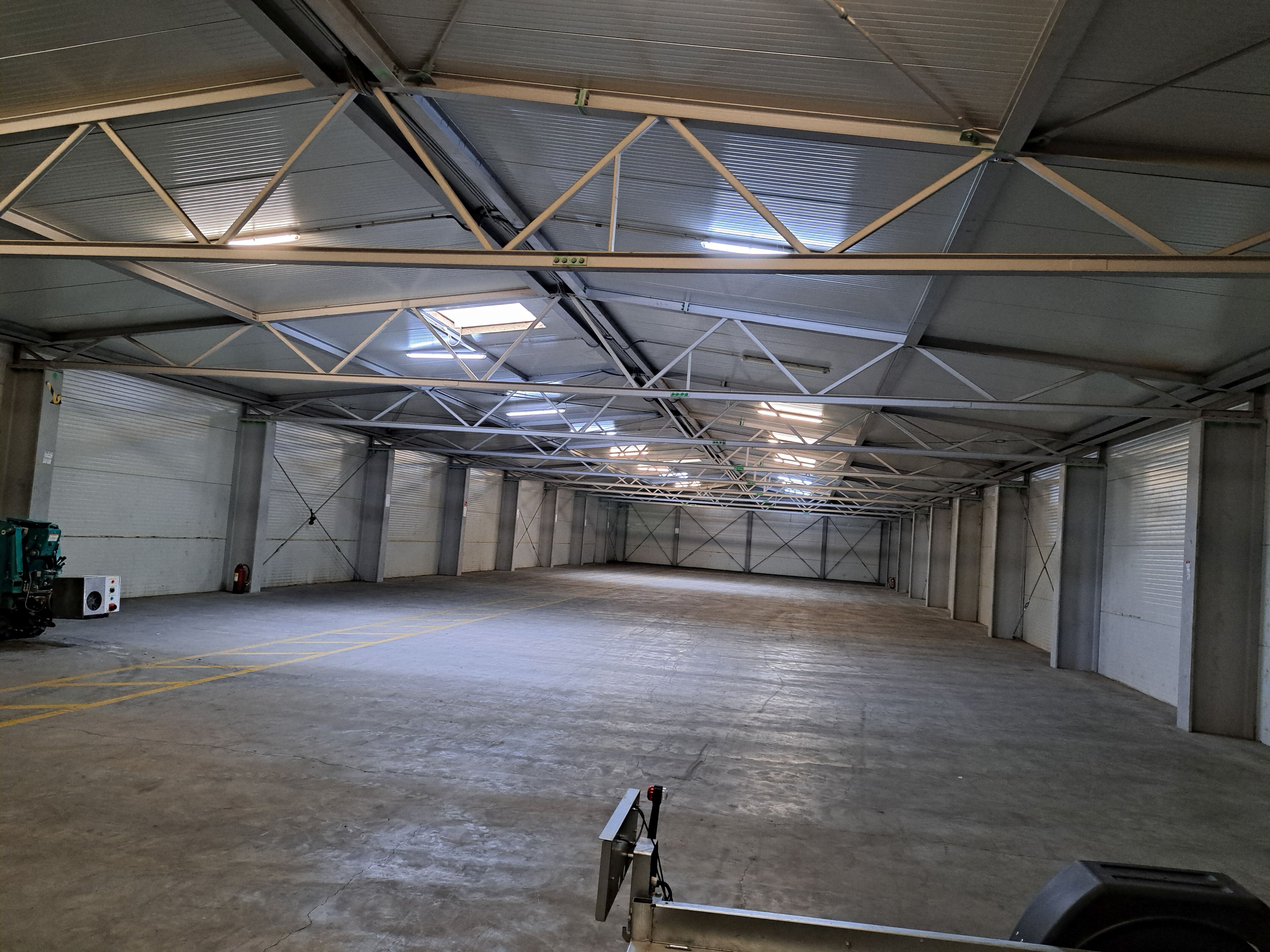 Halle1