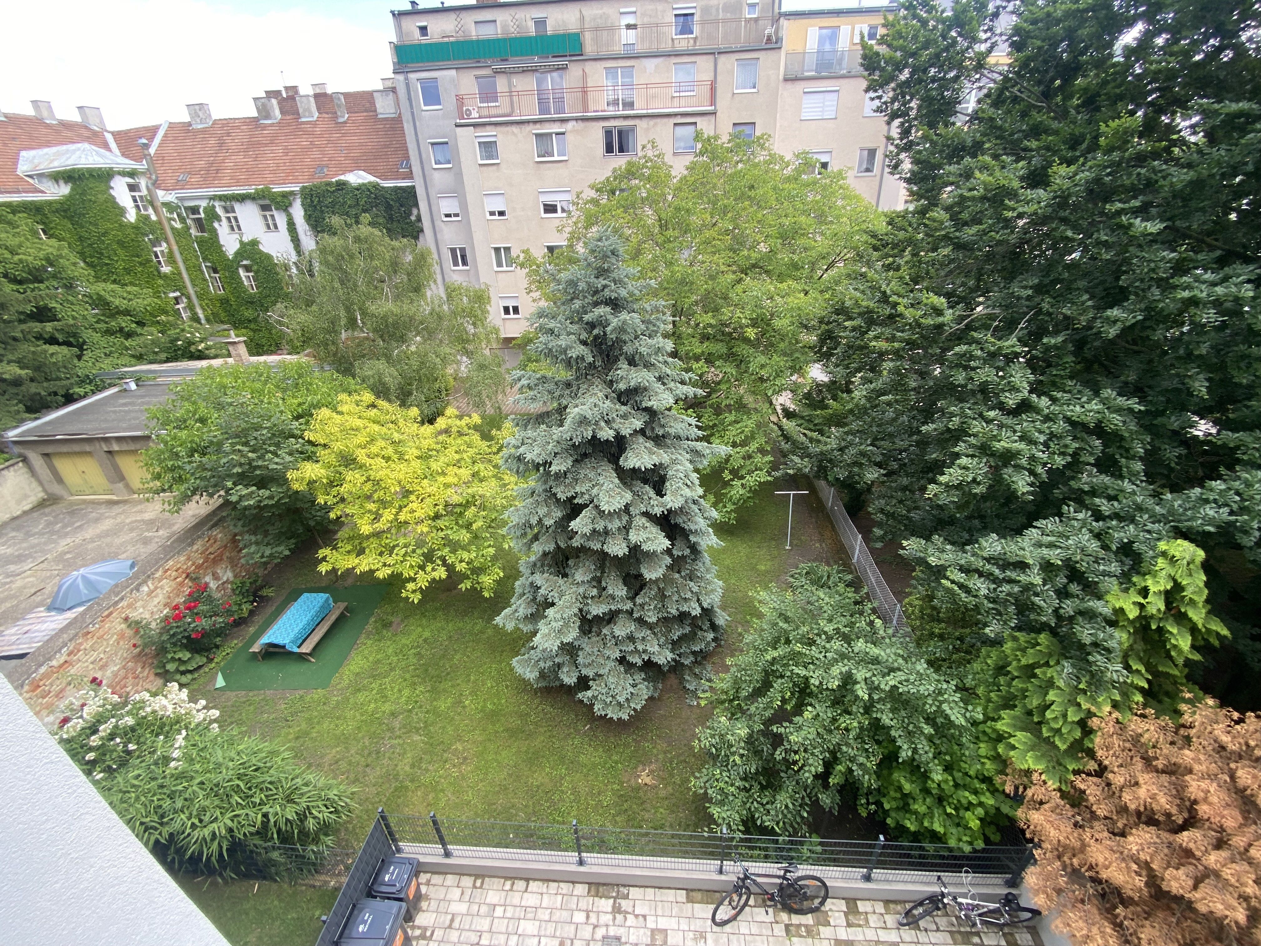 Grünblick 