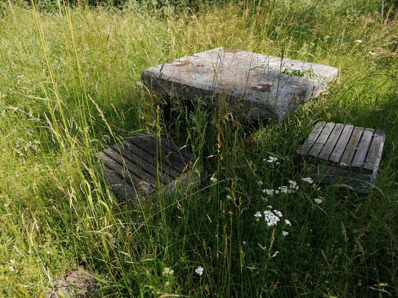 Granittisch im Naturgarten