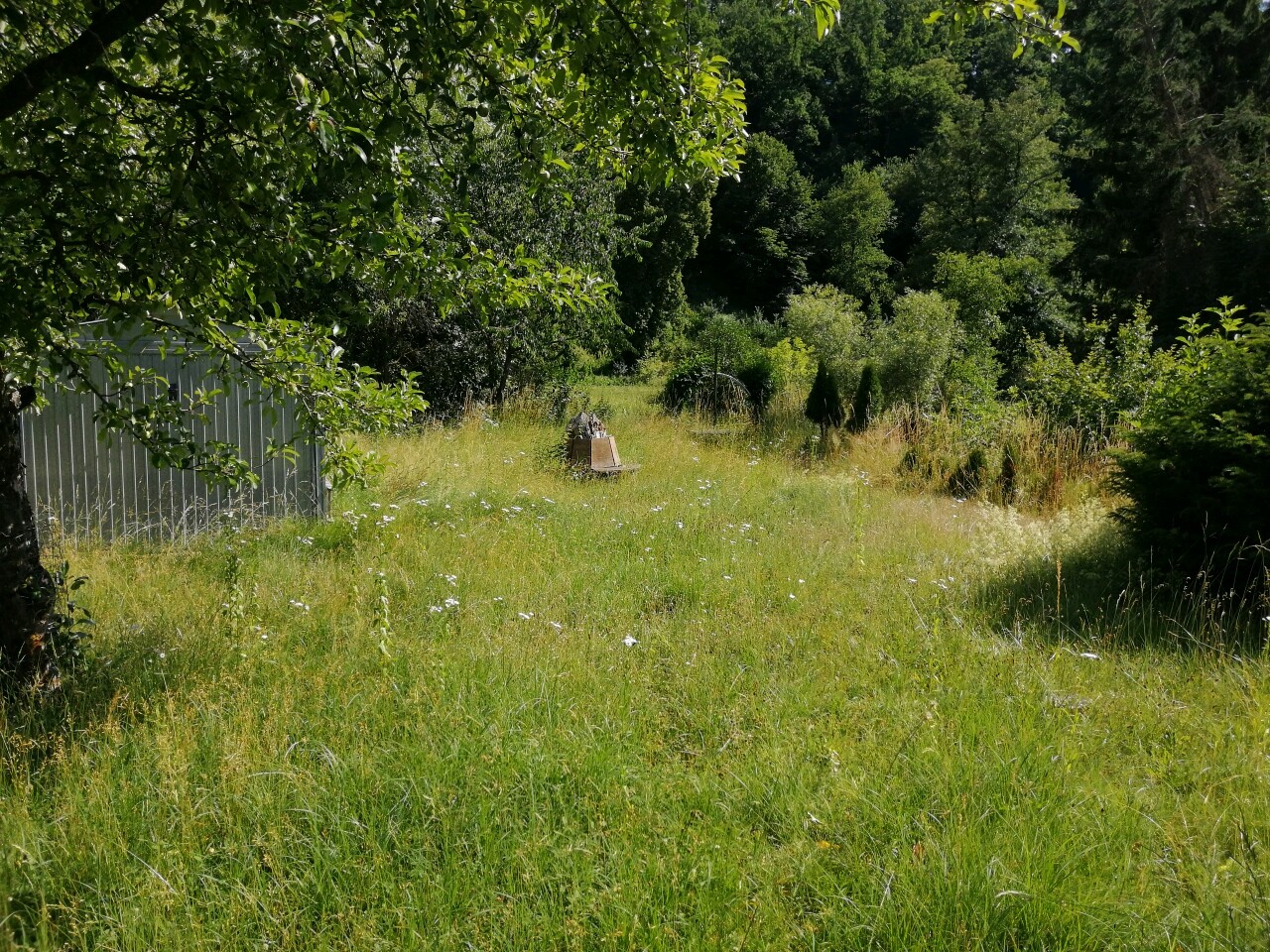 Im Garten 2
