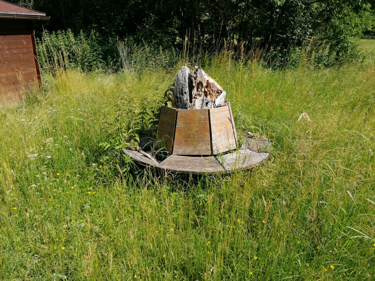 Sitzgelegenheit im Naturgarten