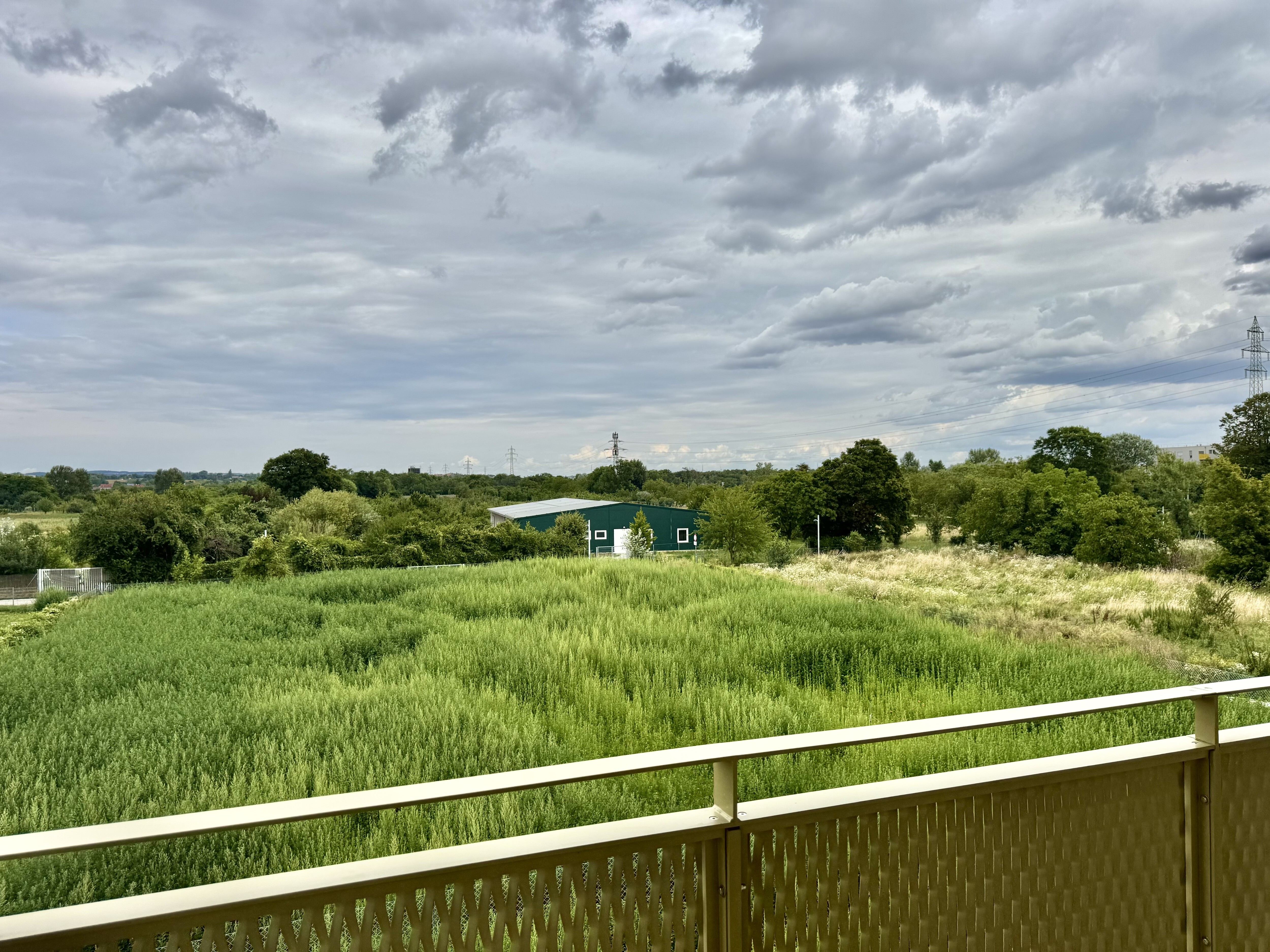 image6