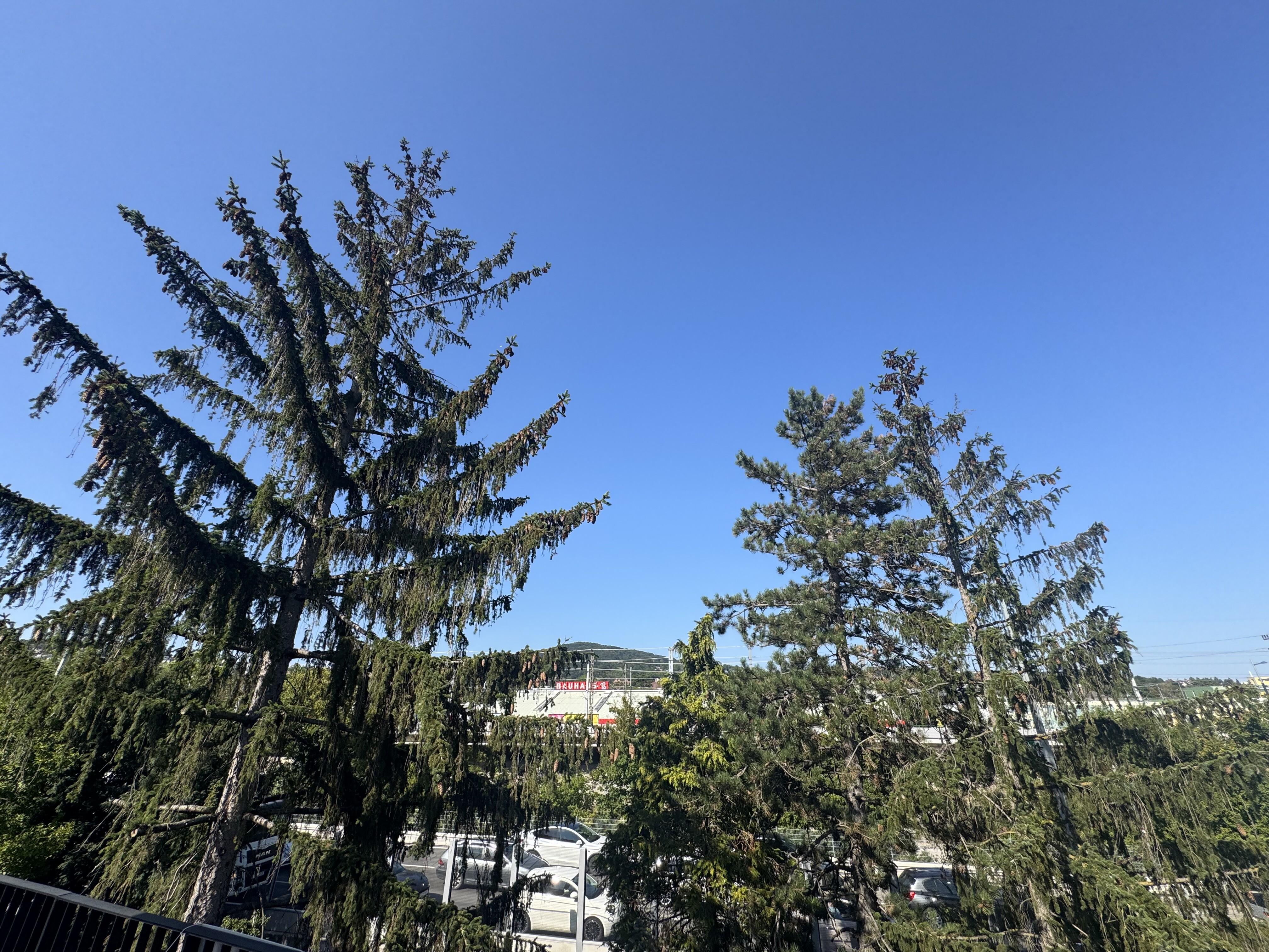 Ausblick