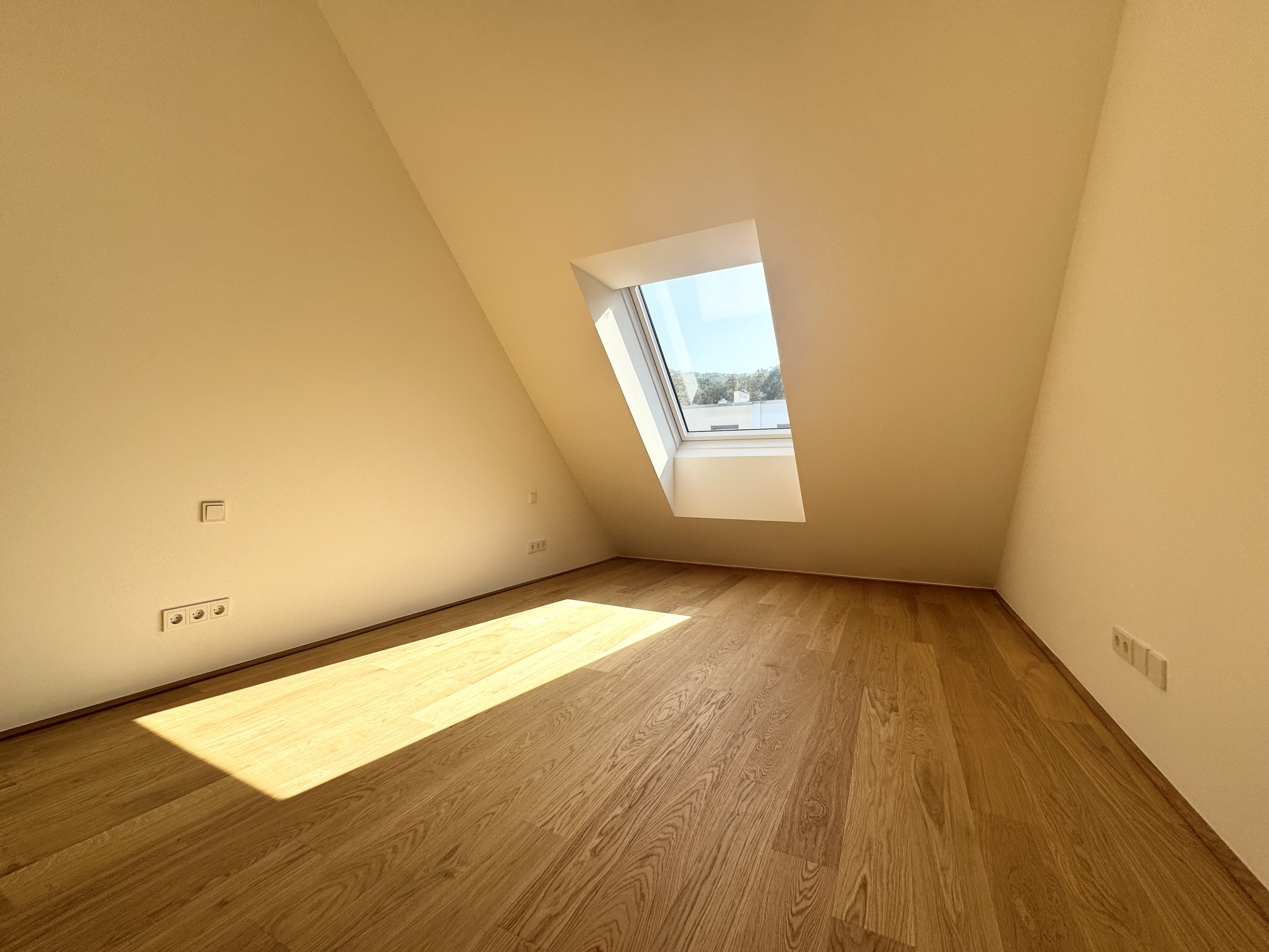 Zimmer 1