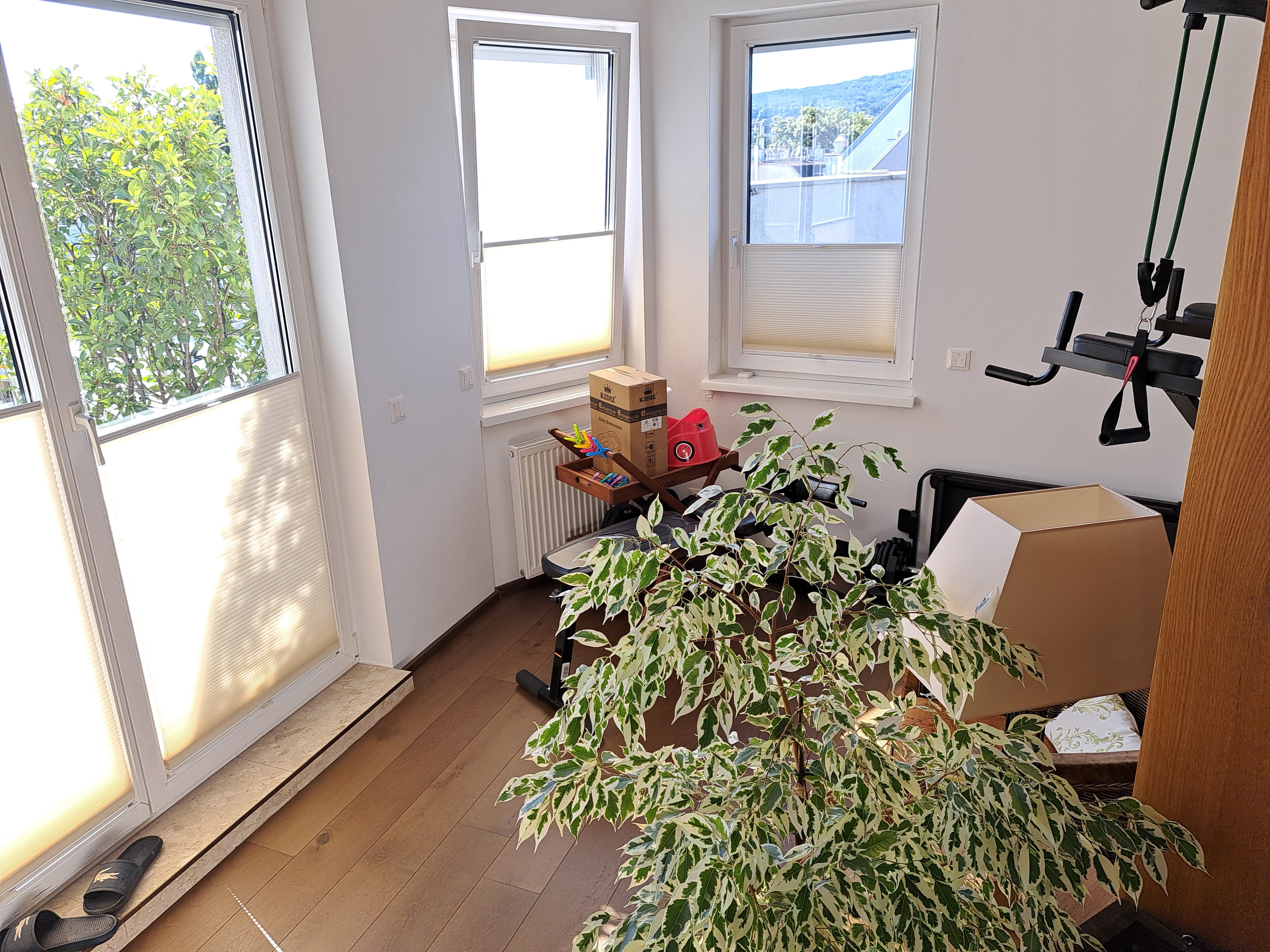 Fitnessbereich oder HomeOffice