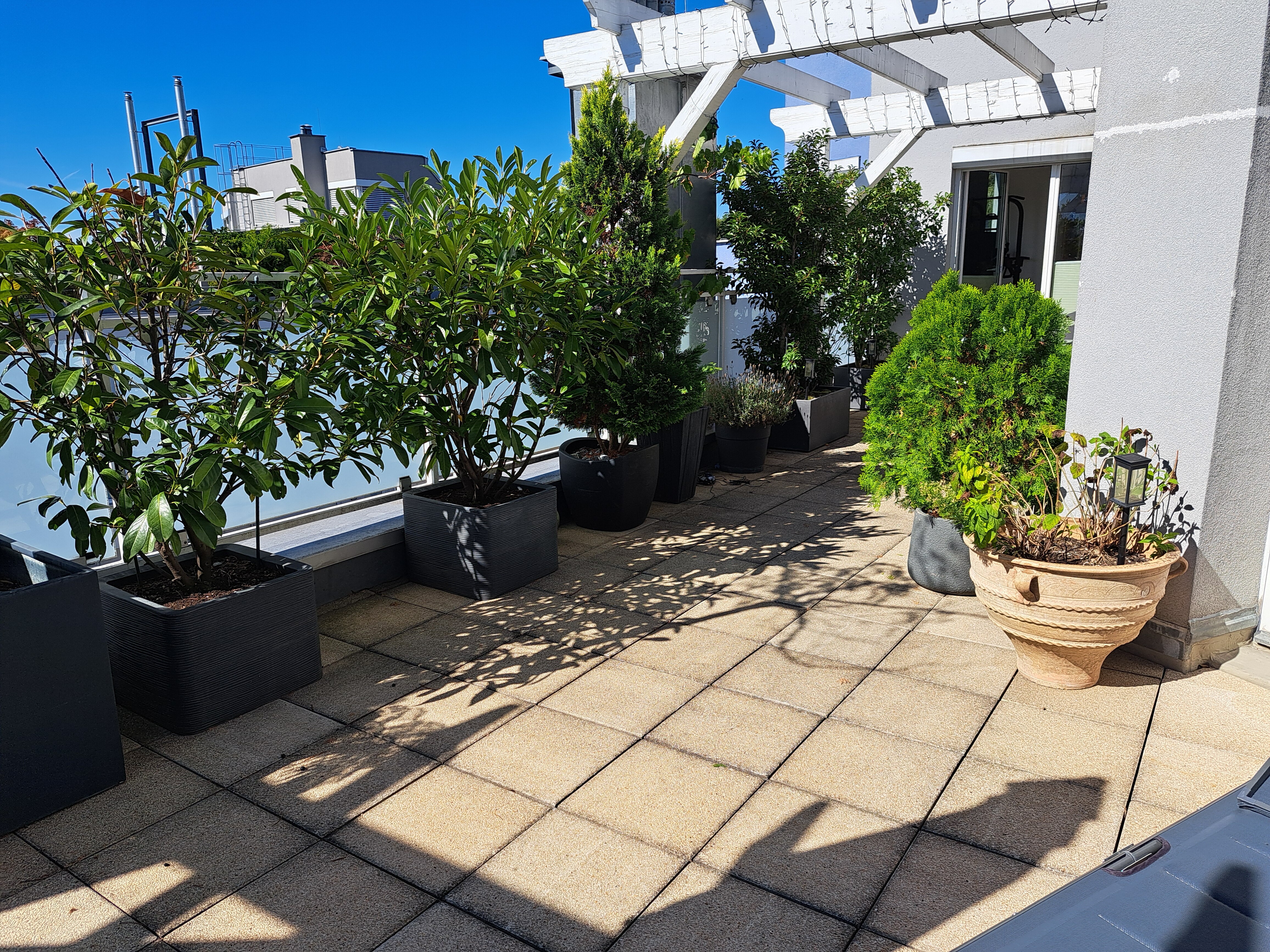 Terrasse 2