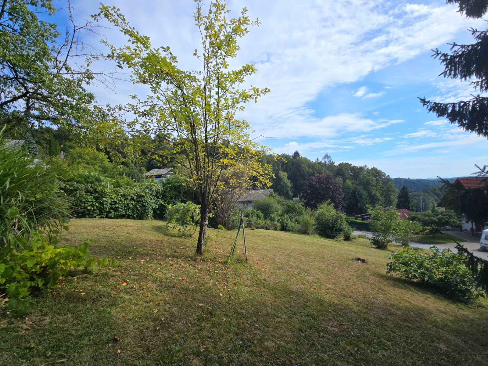 IMG-20250909-WA0089