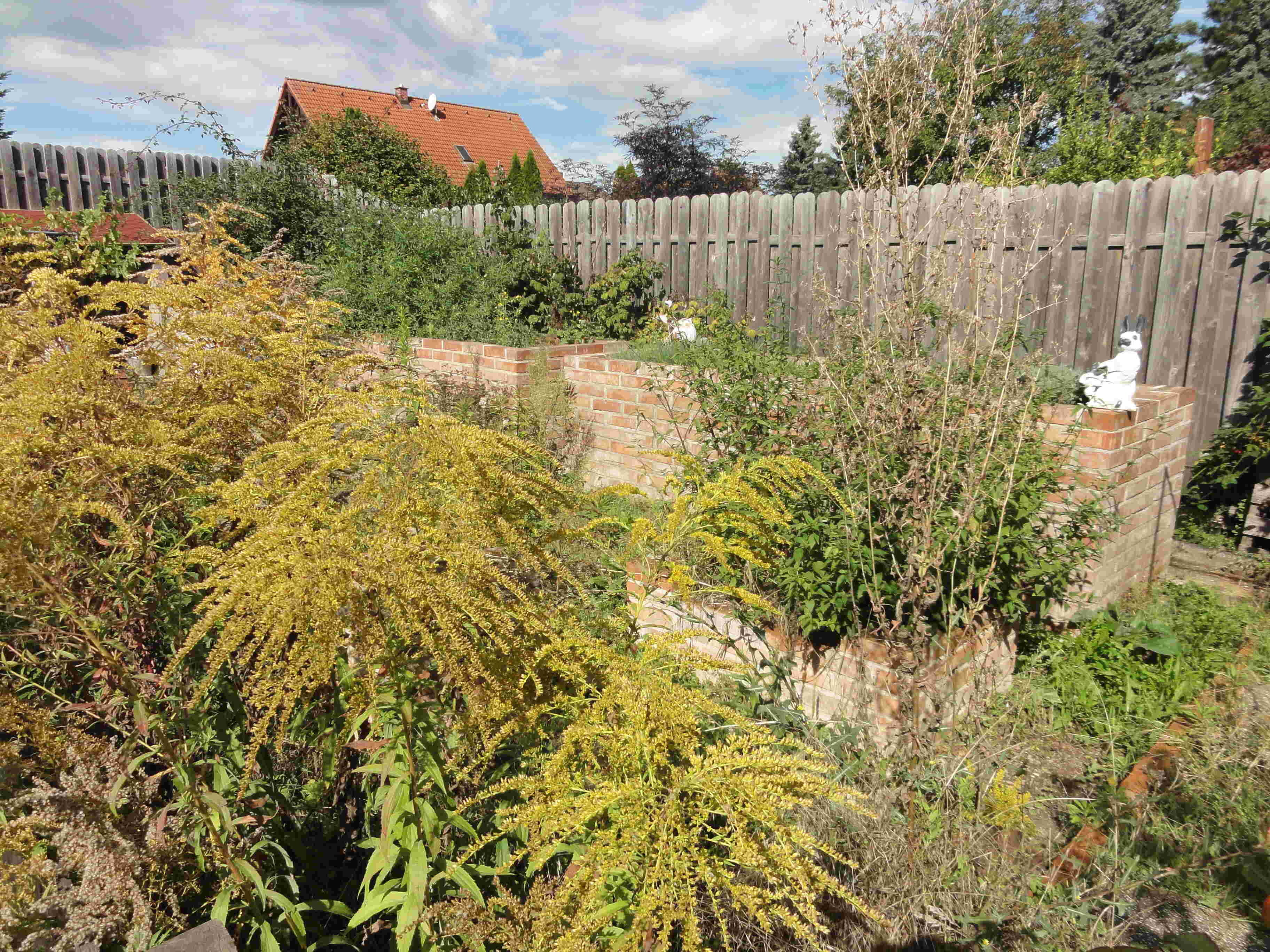 Im Gemüsegarten