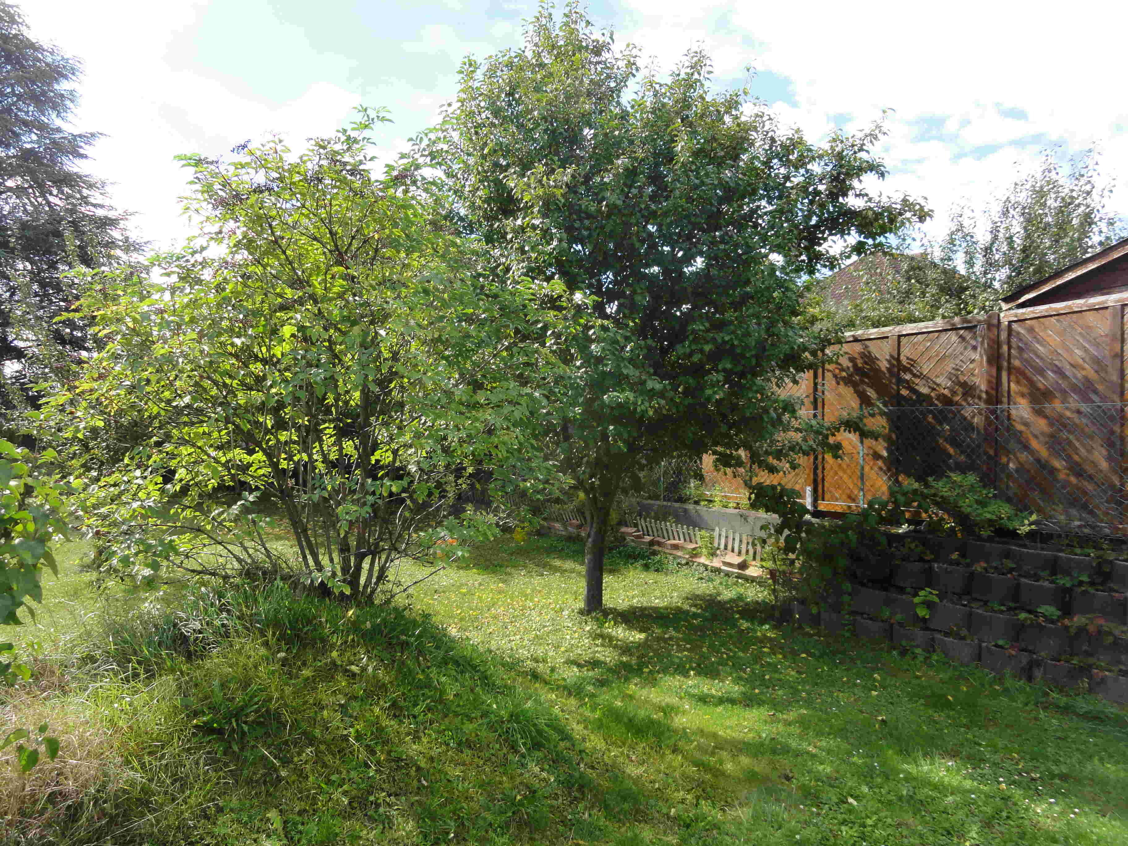 Im Garten