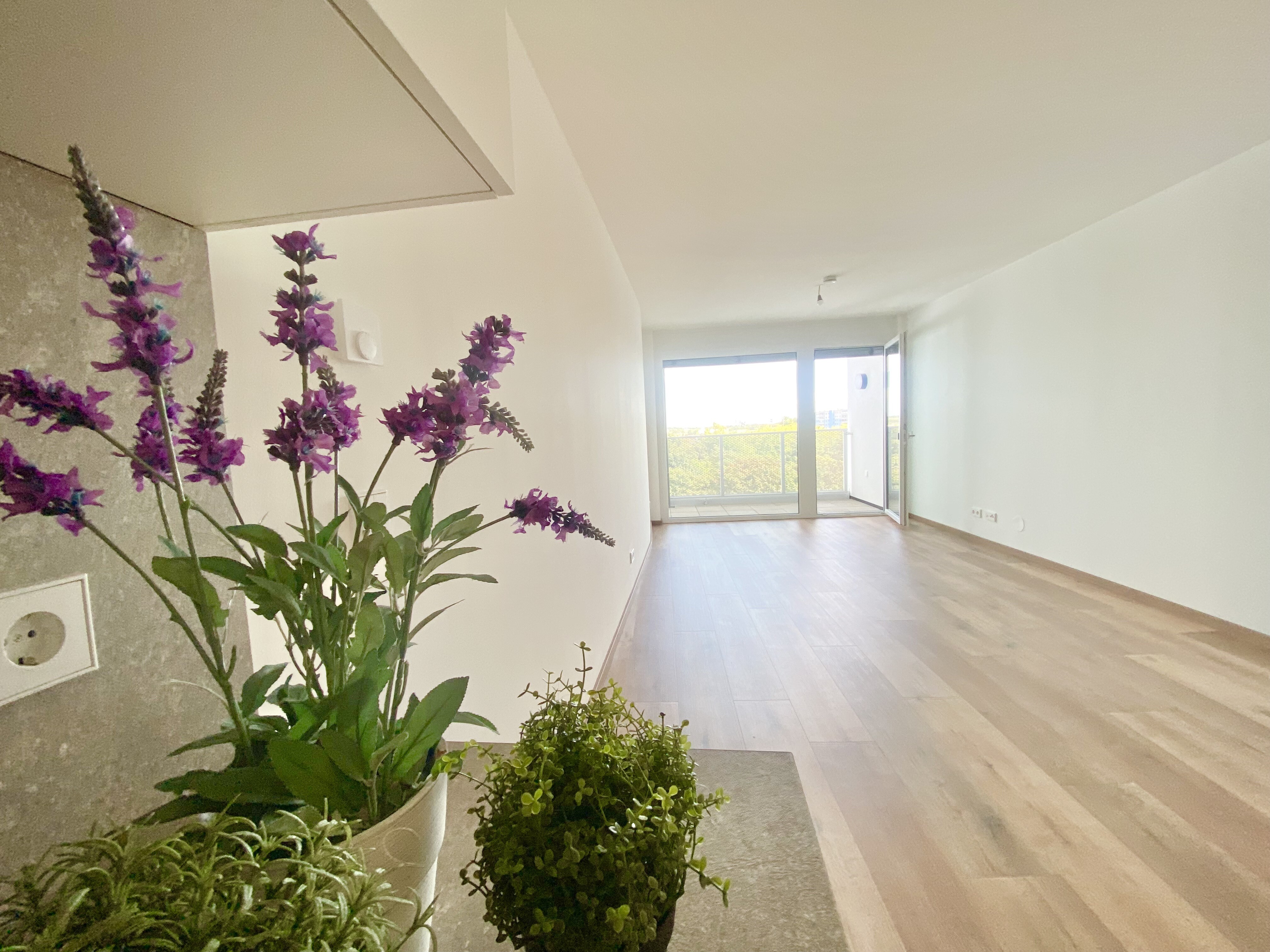 Wohnesszimmer mit Loggia
