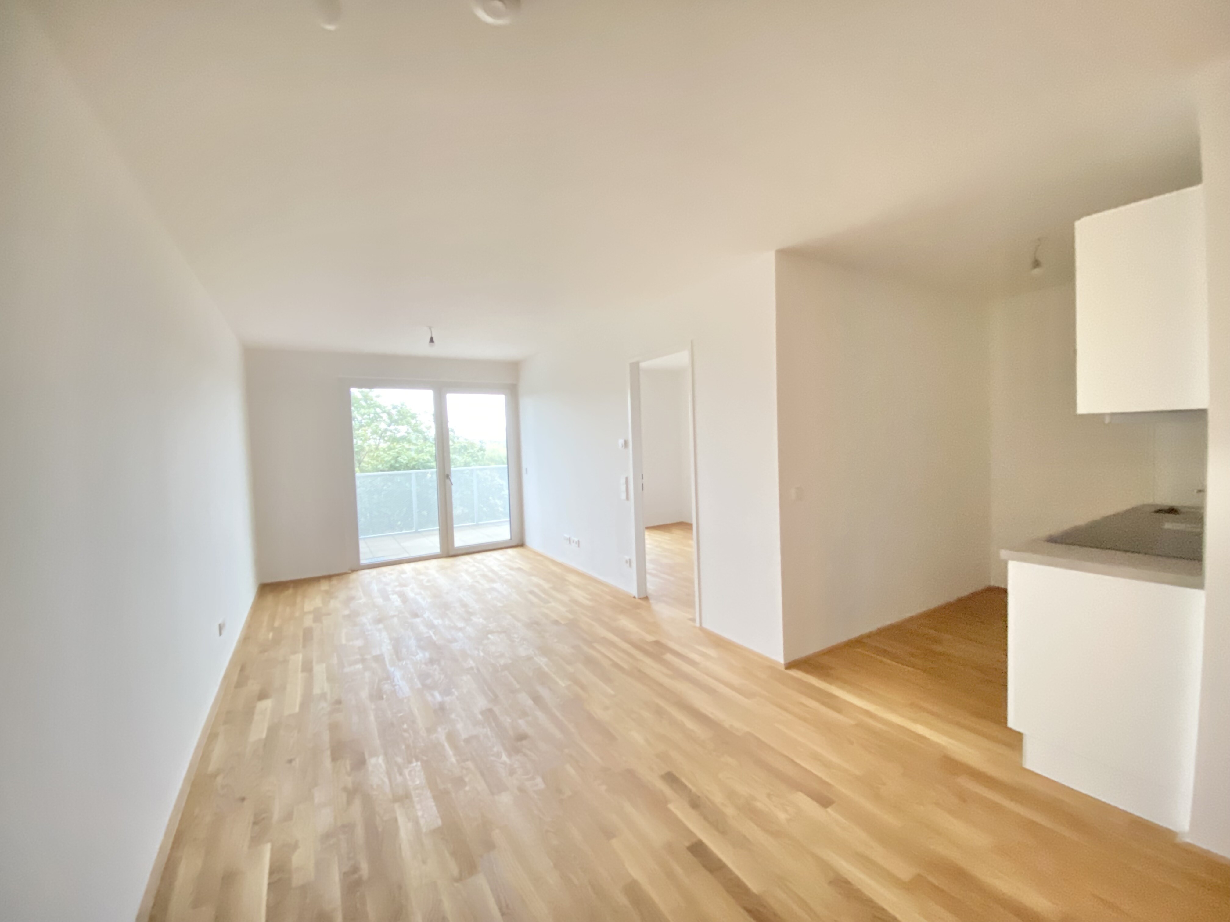 Wohnesszimmer