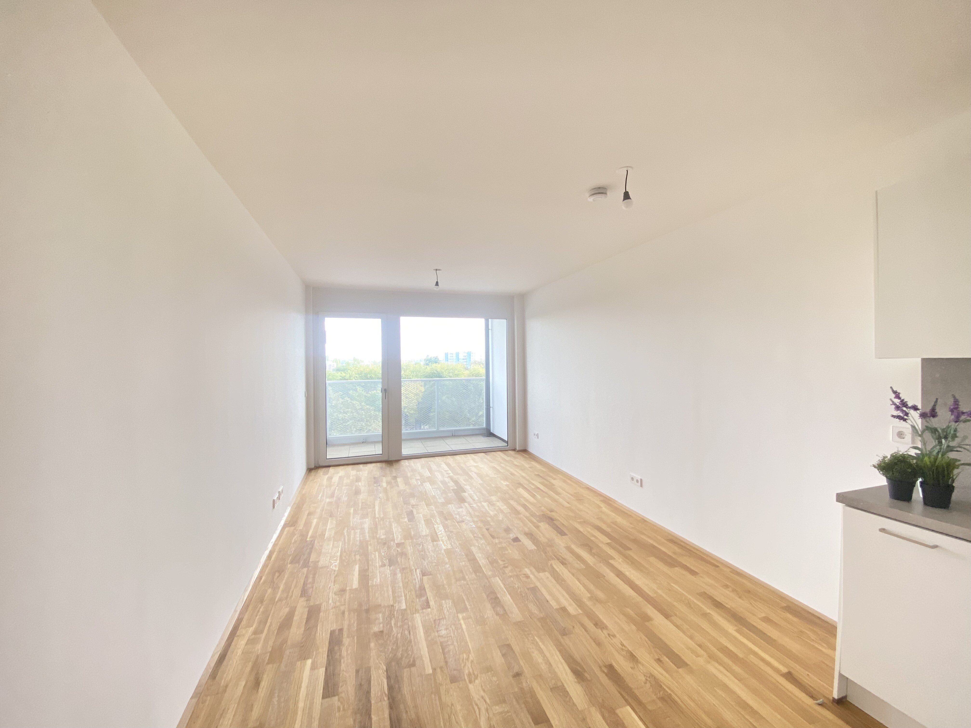 Wohnesszimmer mit Küche