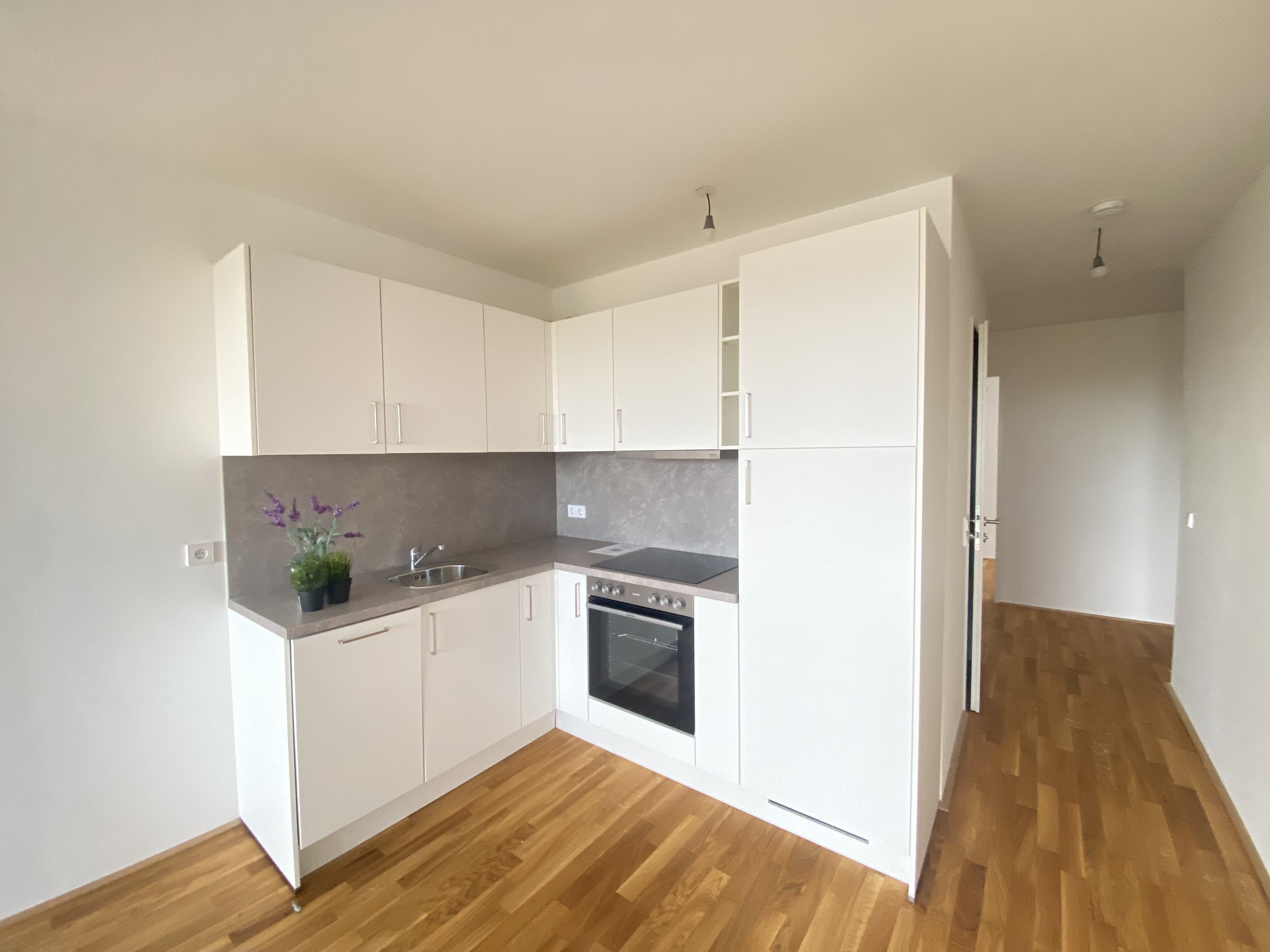 voll möblierte Küche