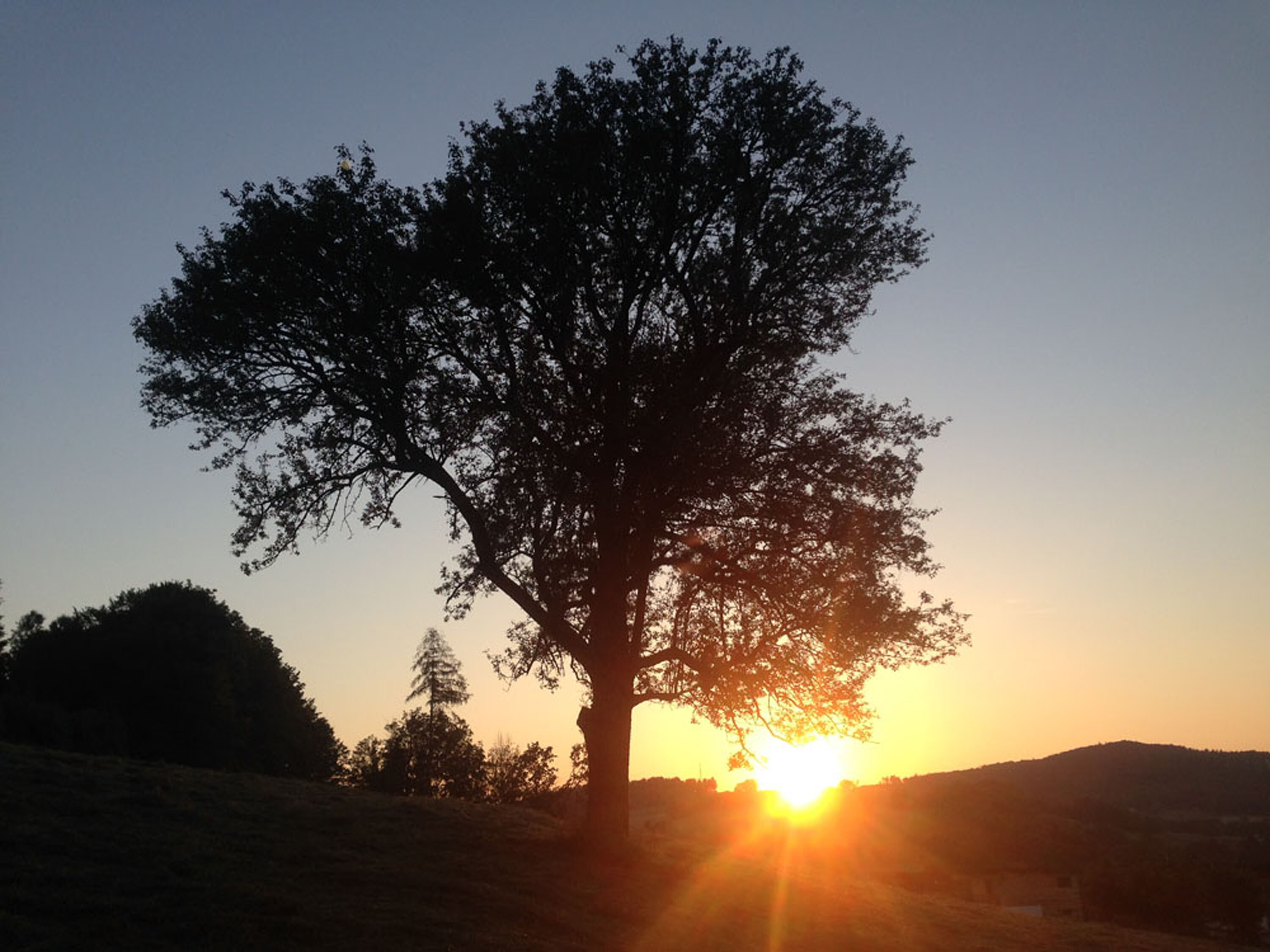 Sonnenuntergang  Blick von der Terrasse
