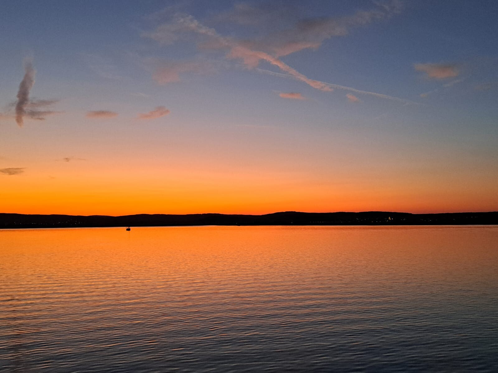 IMG-20251013-WA0002