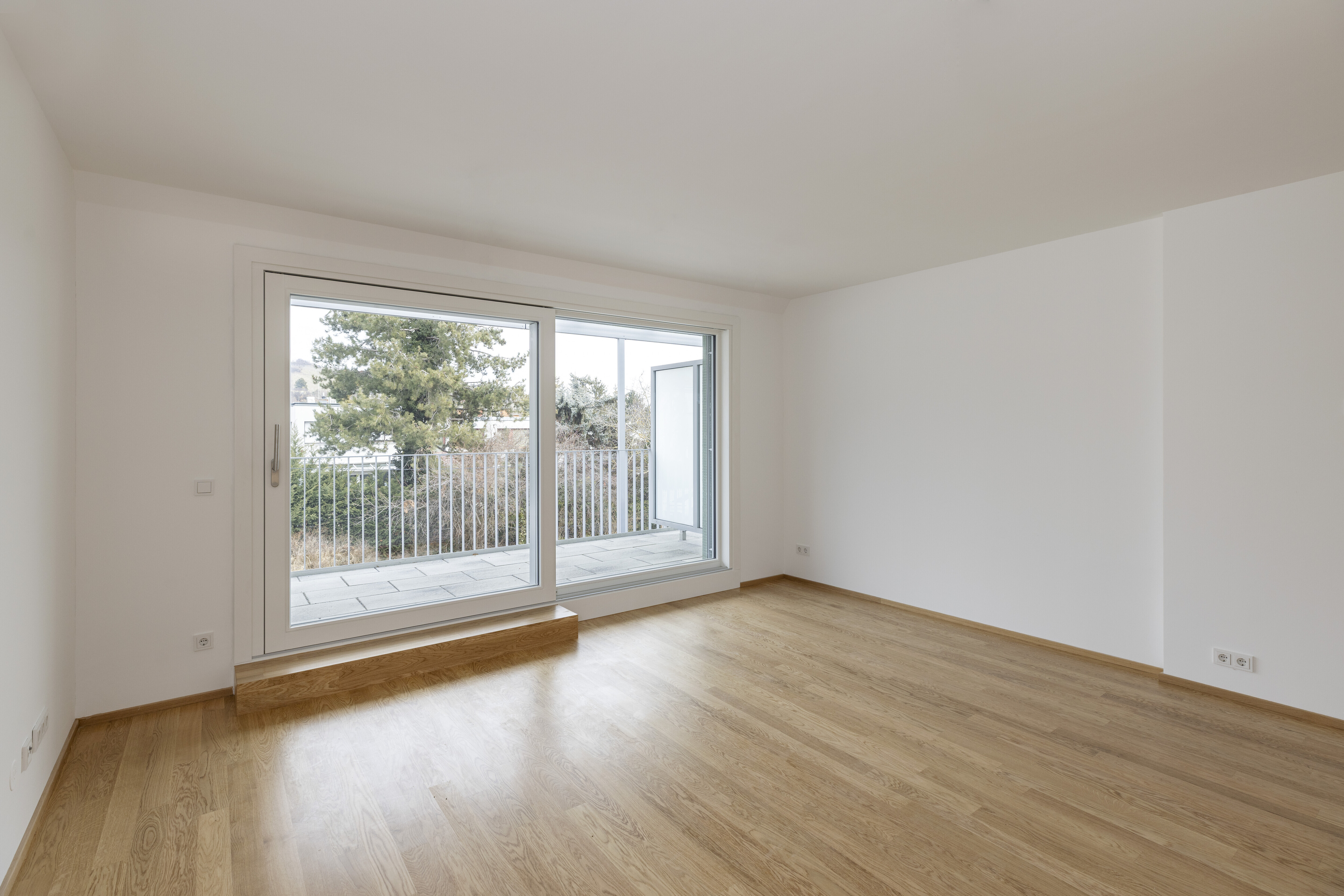 Top_11_T4A0337_auswahl