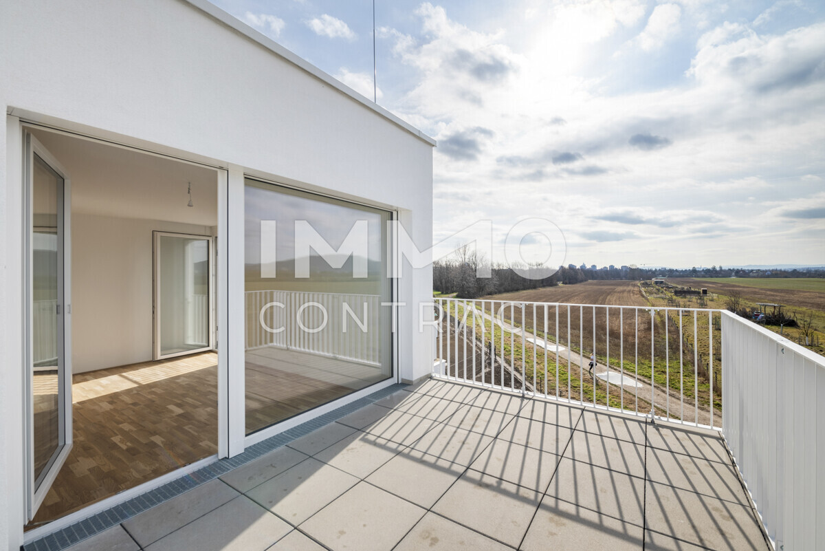 Lichtdurchfluteter Wohnbereich