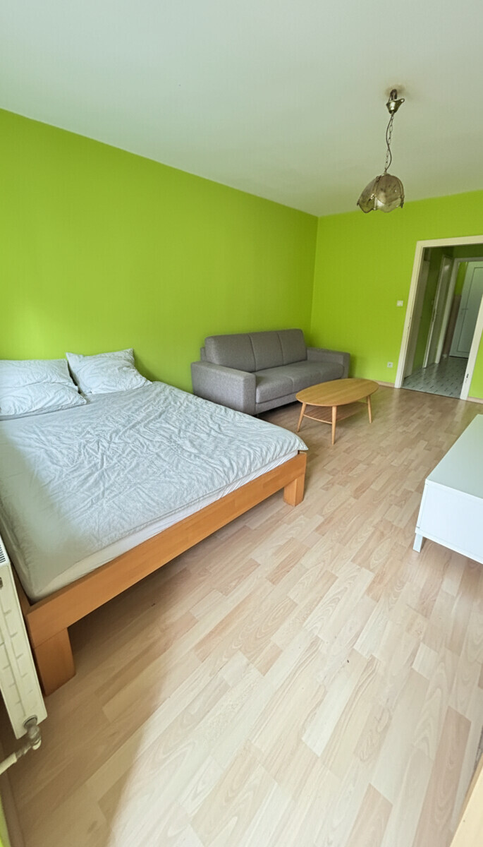 Wohn/Schlafzimmer 