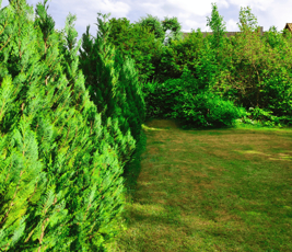 1 Grundstück Südblick