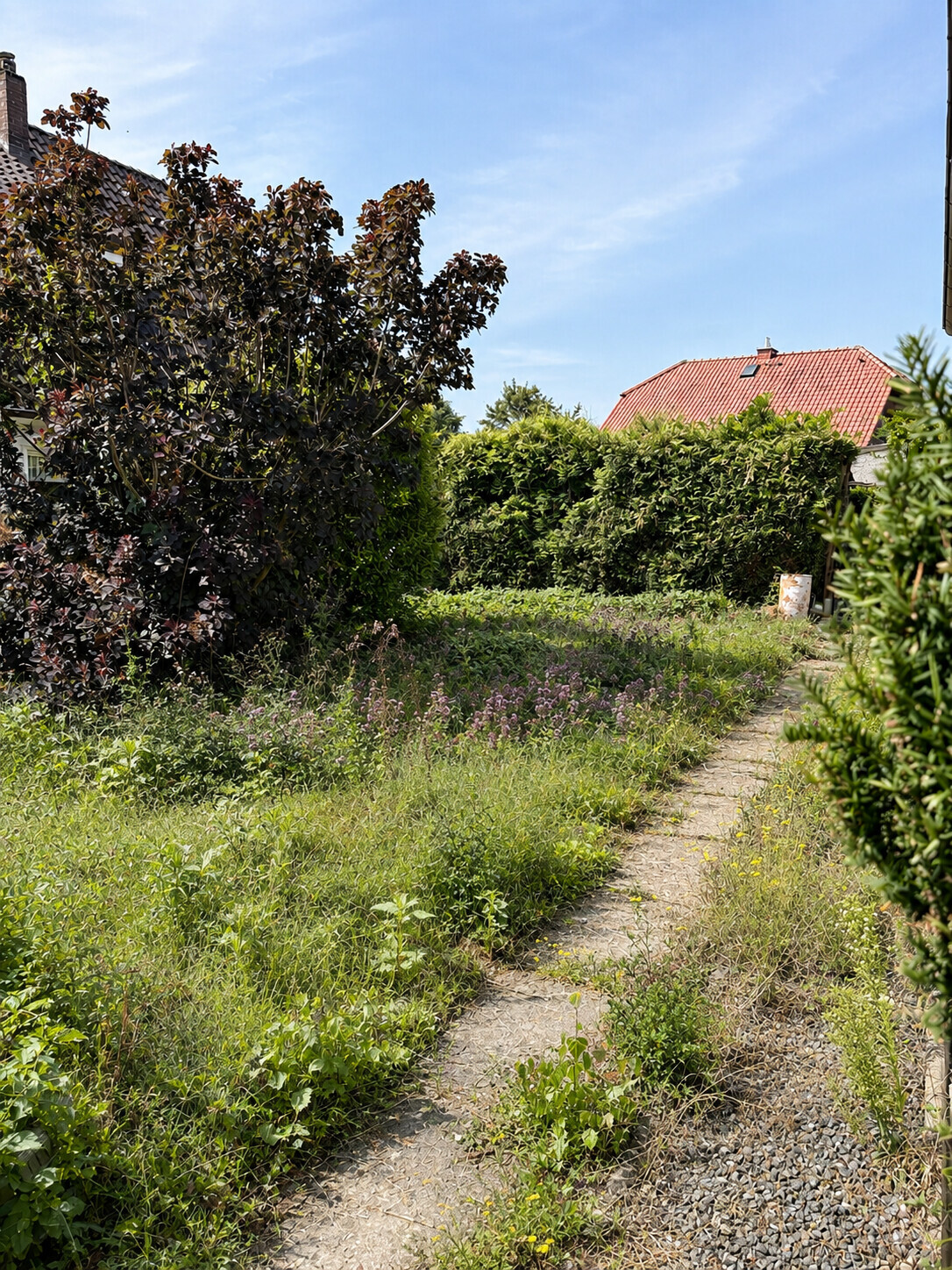 Blick in den Garten