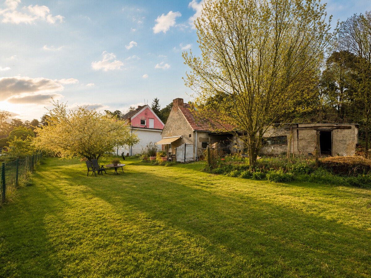 Gartenbereich mit Scheune