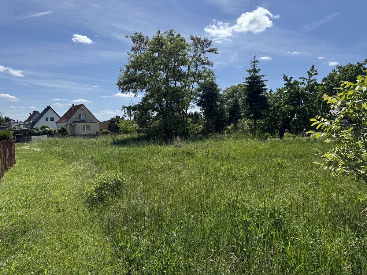 Grundstücksansicht 2