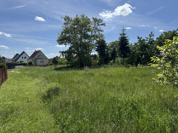 Grundstücksansicht 2