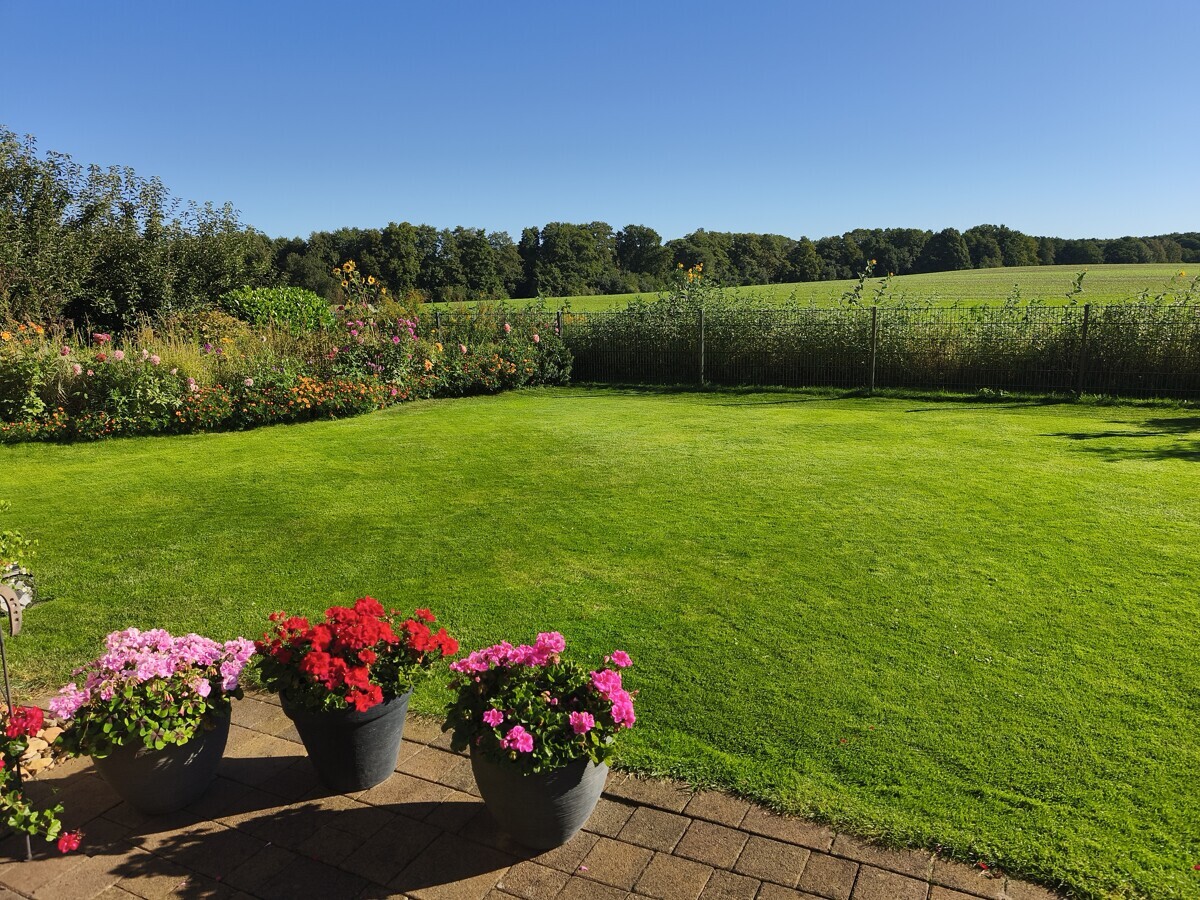 Blick von der Terrasse