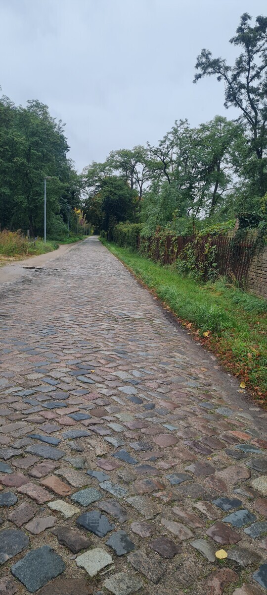 Umgebung