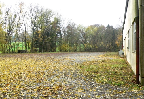 Freifläche (ca 3000m²), Bild 1