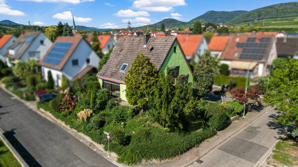 Außenansicht/Garten