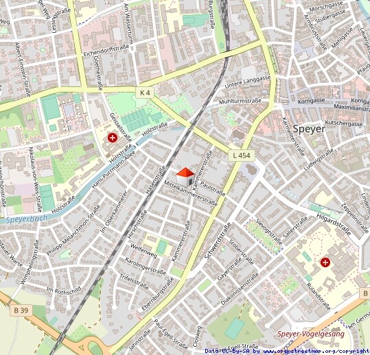 Frisch renovierte Wohnung mit super Raumaufteilung in toller Lage von Speyer! Sofort Bezugsbereit!