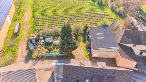 Grundstück am Weinberg mit Altbestand 3