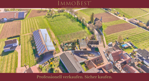 Grundstück am Weinberg mit Altbestand