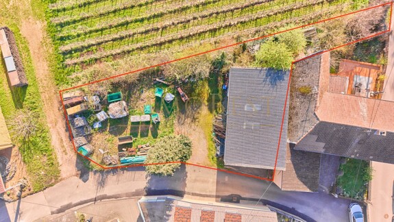 Grundstück am Weinberg mit Altbestand