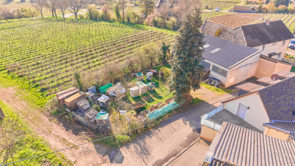 Grundstück am Weinberg mit Altbestand 2