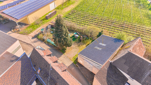 Grundstück am Weinberg mit Altbestand 4