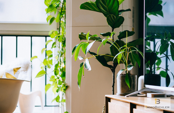 Beispielbild Apartment