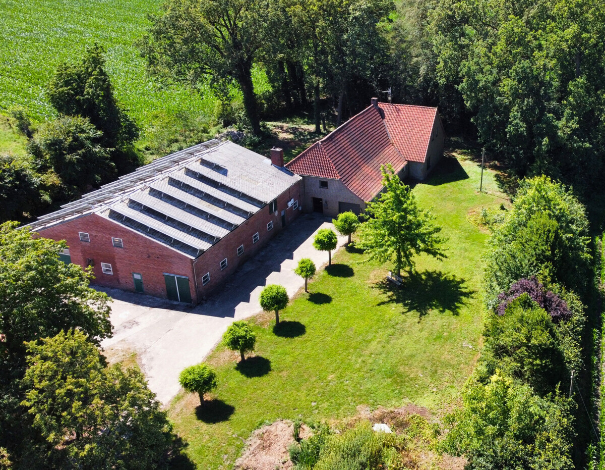 Ansicht von oben