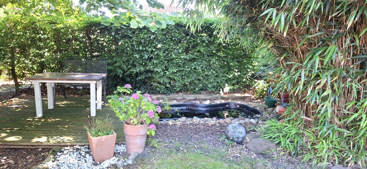 Sitzplatz mit Teich Bild 1