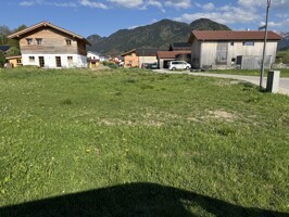 IMG_1694