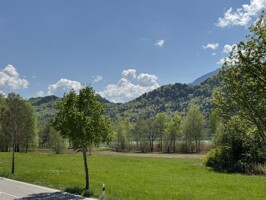 Ausblick