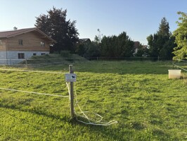 IMG_4084